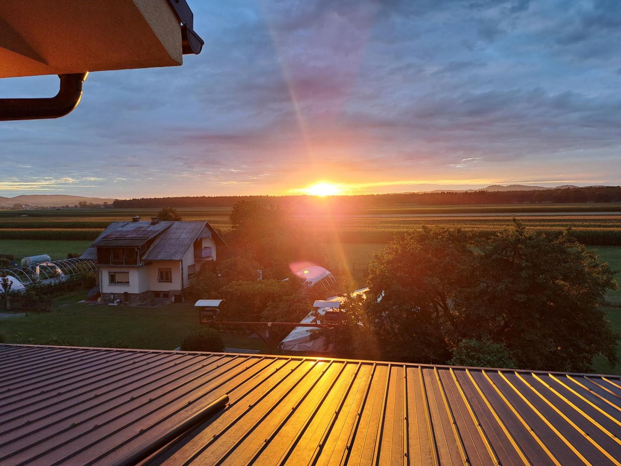 Guesthouse Zivko Dobrovce المظهر الخارجي الصورة