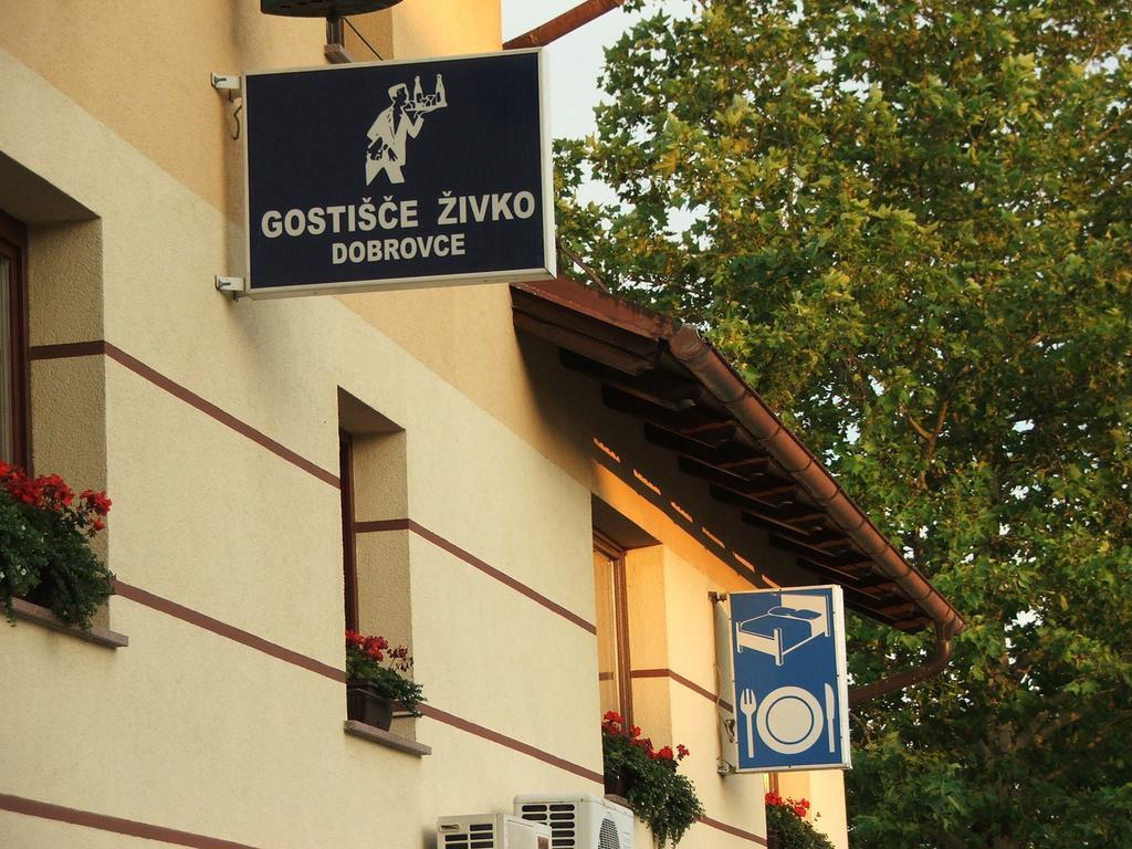 Guesthouse Zivko Dobrovce المظهر الخارجي الصورة